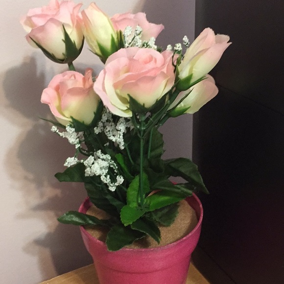 Meet your Posher, Kenzie - Picture 1 of 1